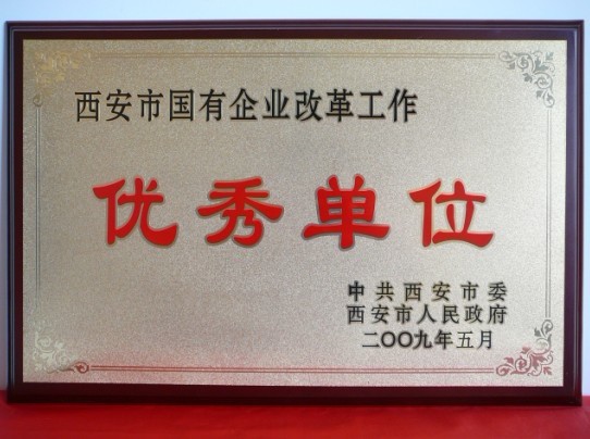 2009年5月，被西安市委、市当驹炖为西安市国企业鼎新工作优良单元