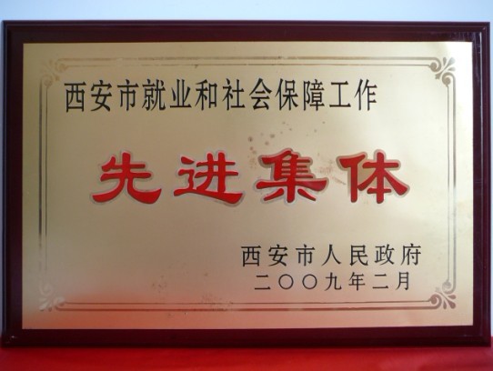 2009年2月，被西安市当驹炖为西安市就业和社会保险工作先进集体